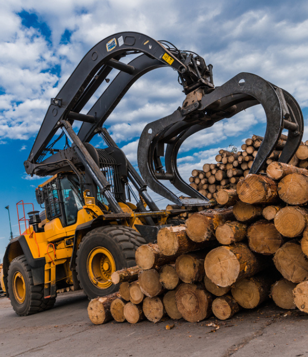 Loading equipment for logging. Log loader for timber, logs. Log loader moves stack of pine logs. Lumber industry. Woodworking factory. Firewood cut tree trunk logs stacked prepared.