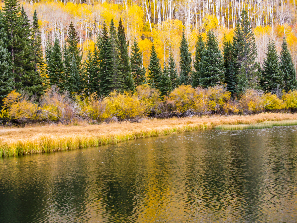 The forested slopes of the La Sal Mountains, in Utah USA, covered in Douglas-fir and Quaking Aspen Trees, reflecting in the calm water of Warner Lake
