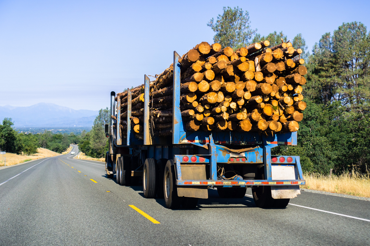 Truck transporting logs 