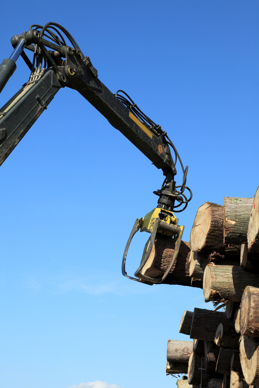 Crane with jaws loading logs onto a stack